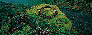 Olfactive Studio: фото на память