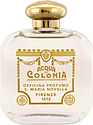 Santa Maria Novella Ginestra Broom