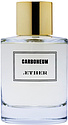 Aether Carboneum