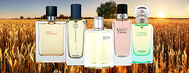 Лучшие ароматы Hermes