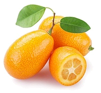 кумкват