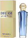 Shakira Dream You Only Live Once
