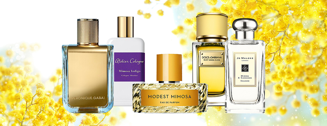 Мимоза в парфюмерии. Лучшие ароматы для женщин и мужчин