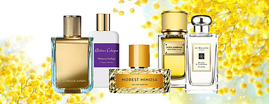 Мимоза в парфюмерии. Лучшие ароматы для женщин и мужчин