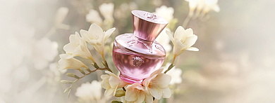 Versace Pour Femme Dylan Blush Pink — объятия нежности