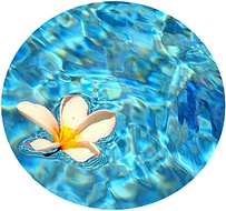 аккорд чистой воды
