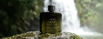 Gucci Guilty Absolu de Parfum Pour Homme — принятие своей силы