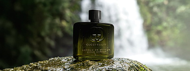 Gucci Guilty Absolu de Parfum Pour Homme — принятие своей силы