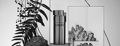 Loewe Loewe 7 Plata: Уверенность и спокойствие
