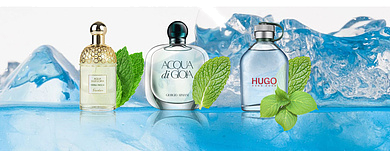 Мята в парфюмерии