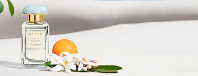 Aerin: по волнам счастья