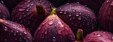 Инжир в парфюмерии: от зелёной прохлады до сливочной сладости