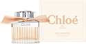 Chloe Rose Tangerine