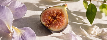 Ноты, которые вы начинаете замечать весной