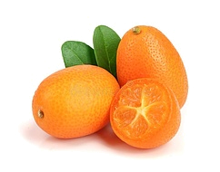 фортунелла