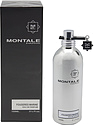 Montale Fougeres Marine