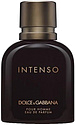 Dolce & Gabbana Pour Homme Intenso
