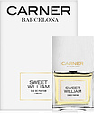 Carner Barcelona Sweet William