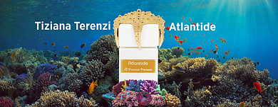 Tiziana Terenzi Atlantide - Таинственный аромат