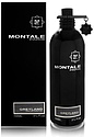 Montale Greyland