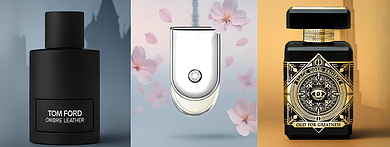 В шлейфе магаполисов