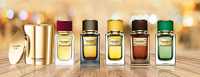 Dolce & Gabbana Velvet Collection