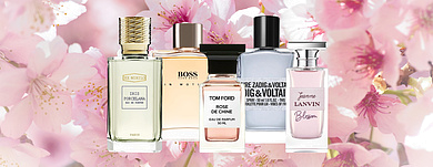 Лучшие ароматные новинки 2022 года
