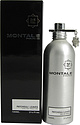 Montale Patchouli Leaves
