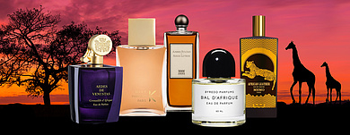 Ароматы посвященные Африке