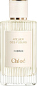 Chloe Cedrus