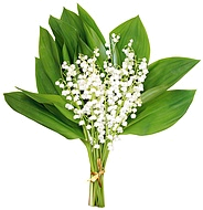 ландыш