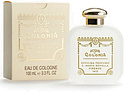Santa Maria Novella Violetta