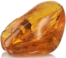 Amberwood