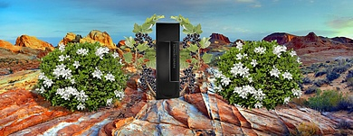 LM Parfums Infinite Definitive - Бесконечное совершенство