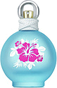 Britney Spears Maui Fantasy