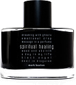 Mark Buxton Spiritual Healing
