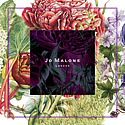 Jo Malone Peony & Moss