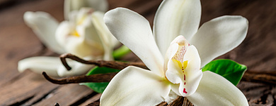 Духи с запахом ванили