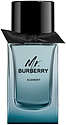Burberry Mr. Burberry Element