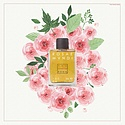 Profumum Roma Rosae Mundi