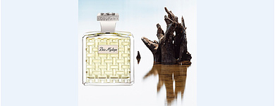 Bois Mystique: характер мистический