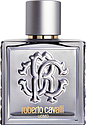 Roberto Cavalli Uomo Silver Essence