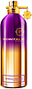 Montale Sensual Instinct