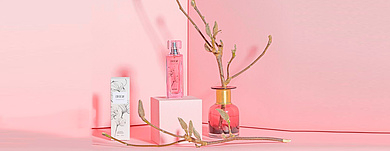 Orsay: в краю магнолий