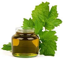 экстракт пачули