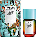 Loewe Paula's Ibiza