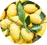 лимон амальфи