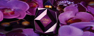 Agent Provocateur: дикая орхидея