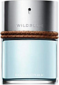 Banana Republic Wildblue Aqua