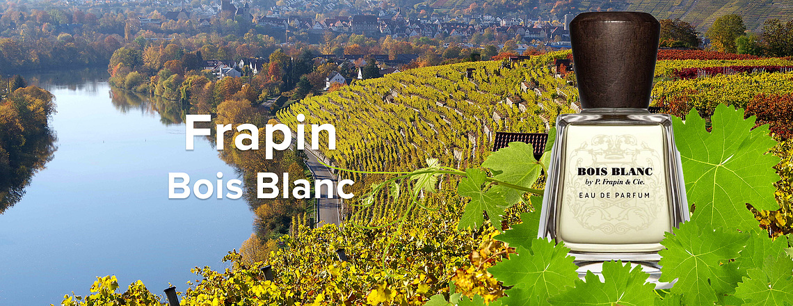 Frapin Bois Blanc – Игристый освежающий коктейль
